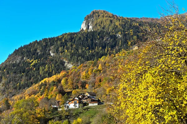 Krajobraz Jesiennego Lasu Valais Szwajcaria — Zdjęcie stockowe