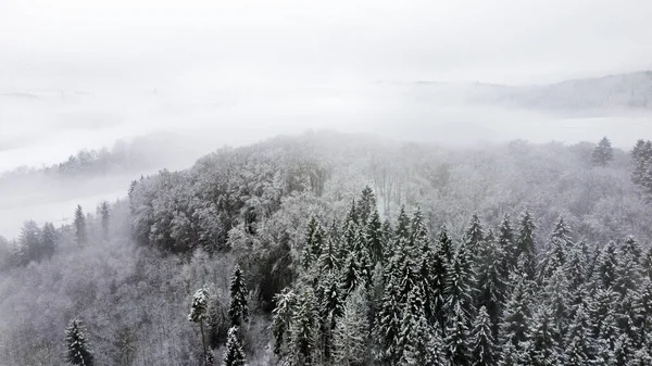 早朝に濃霧に覆われた鬱蒼とした森の空中風景 — ストック写真