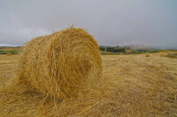 干草捆在农村领域的前景 — 图库照片