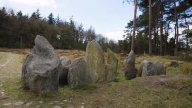Hollanda 'nın Drenthe eyaleti Evertsbos ormanındaki 2. Dünya Savaşı direniş anıtının manzarası