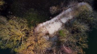 Yapraksız ağaçların ve sakin karanlık göletlerin havadan görünüşü.