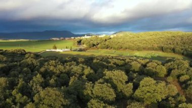 İspanya 'nın Navarra kentindeki Encinar (Quercus ilex) ormanının bulutlu bir gökyüzü altında havadan görünüşü