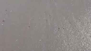 Mantas Plajı Kosta Rika