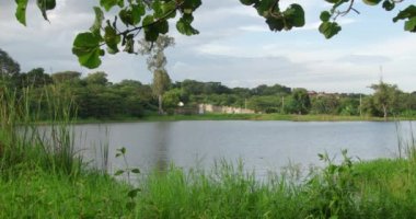 Yeşil ağaçlarla çevrili güzel bir göl manzarası