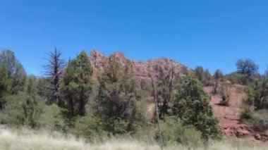 Sedona, Arizona 'da görkemli kızıl kaya dağları ve ağaçlarla manzaralı bir manzara.