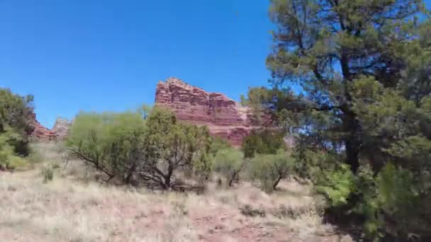 Een Landschap Uitzicht Met Majestueuze Rode Rotsen Bomen Sedona Arizona — Stockvideo