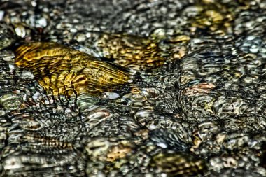 Altında renkli taşlar olan nehir suyunun manzarası.