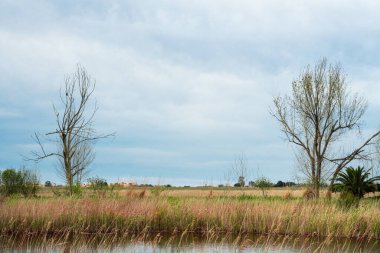 Vahşi doğada sakin bir göl.