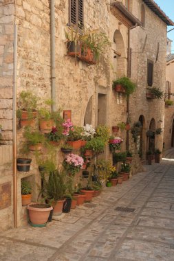 Assisi 'de çiçeklerle süslenmiş dar sokağın dikey bir görüntüsü. İtalya.