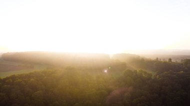 Güneşin doğuşuyla kaplı büyük yeşil yapraklı ağaç ve bitkilerin havadan görünüşü.