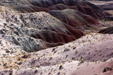Güneşli bir günde çölün ortasında kuru bir çalı ve çorak arazi.