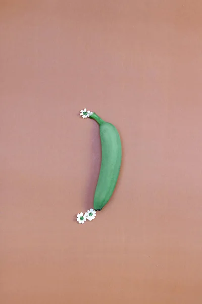 Tiro Vertical Uma Banana Verde Fundo Liso — Fotografia de Stock