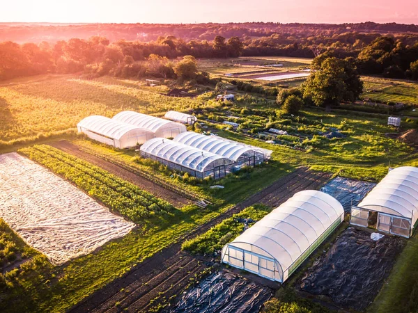 Aerial View Organic Inner City Farm Sunset London — Stock Photo, Image