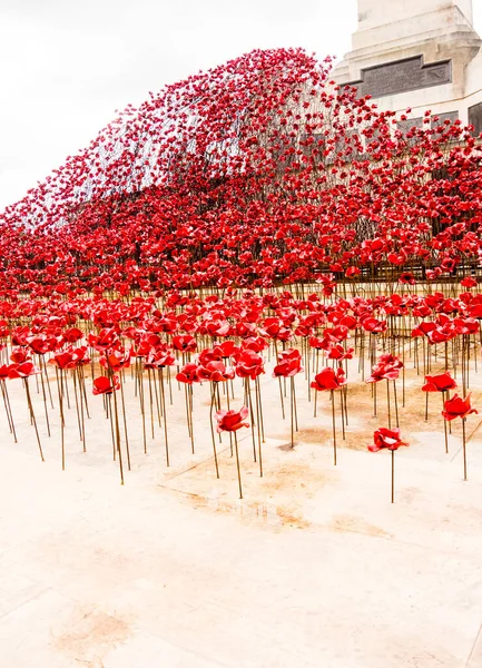 Plan Vertical Une Vague Coquelicots Céramique Dans Plymouth Hoe Navy — Photo