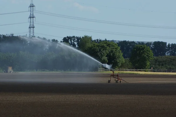 Irrigatie Van Een Vers Gezaaid Veld Zomer Hessen Duitsland Sproeifontein — Stockfoto