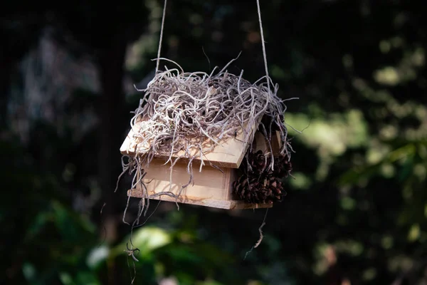 木から吊るされた小さな木造の鳥舎の選択的焦点 — ストック写真