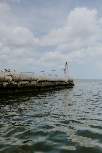 Eine Vertikale Aufnahme Einer Seebrücke Auf Dem Wasser Des Ozeans — Stockfoto