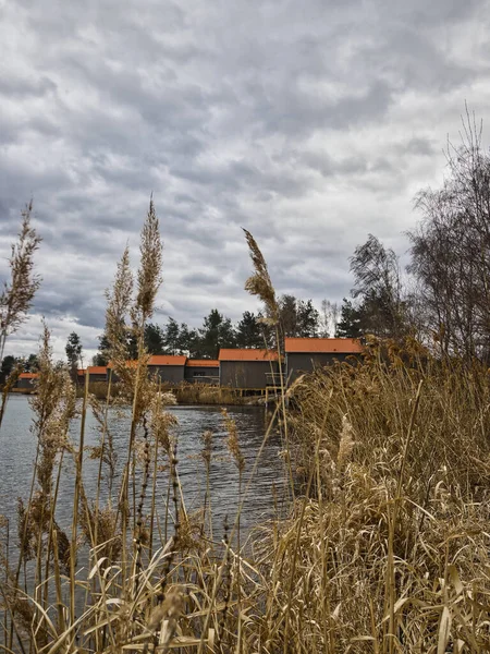 Autumn Landscape Reeds Lake Houses Village — Stock Photo, Image