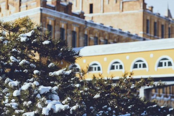Cabang Pohon Ditutupi Dengan Salju Terhadap Latar Belakang Cityscape — Stok Foto