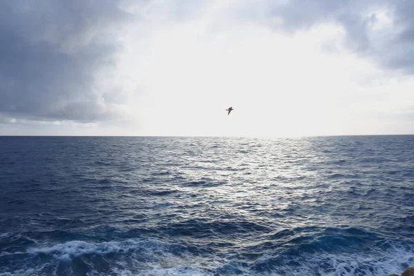 Uma Vista Panorâmica Oceano Azul Pássaro Voando Sobre Ele Dia — Fotografia de Stock