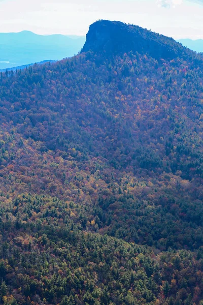 Hermoso Plano Vertical Del Paisaje Montañoso Natural Otoño Cubierto Bosque —  Fotos de Stock