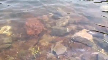 Suyun altındaki kırmızımsı kayaların arka planında dalgalı su yüzeyine yakın çekim