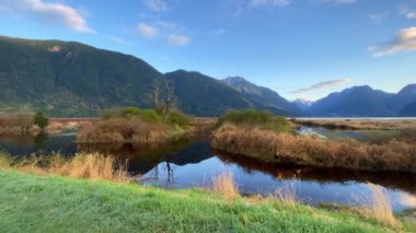 Pitt Meadows 'da güzel bir sabah. Sakin göl ve dağ
