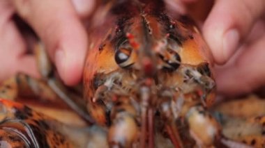 Istakozu ortadan kesen kişinin elinin yakın çekimi.