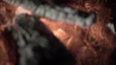 Yanan kömür közlerine yakın çekim