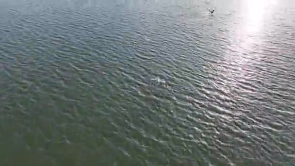 Una Vista Pájaro Barco Navegando Paisaje Marino Bajo Cielo Azul — Vídeo de stock