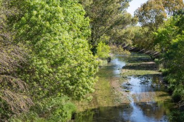 Lizbon, Portekiz 'deki Jamor Şehir Parkı' ndaki nehrin manzarası.