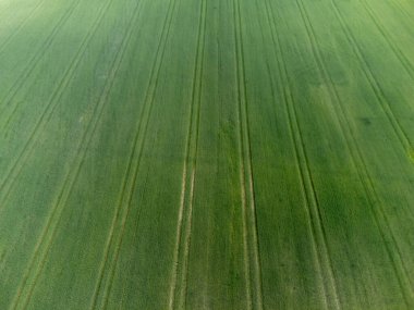 Yeşil tarım alanlarının kırsal alanlarının havadan görünüşü. İnsansız hava aracı fotoğrafçılığı İsveç 'te yaz aylarında çekildi. Metin için yer, kopyalama alanı.