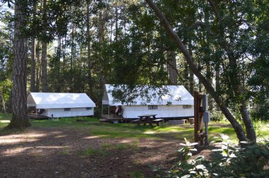 Ormanda iki beyaz bina