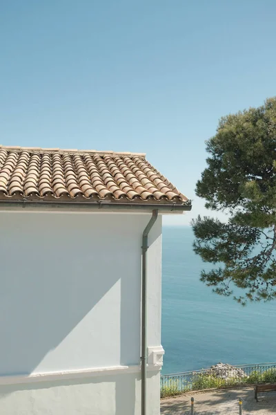 Colpo Verticale Una Casa Con Albero Verde Sullo Sfondo Del — Foto Stock