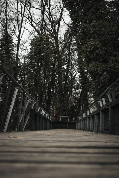 Eine Vertikale Aufnahme Einer Holzbrücke Mit Metallzaun Einem Wald Oder — Stockfoto