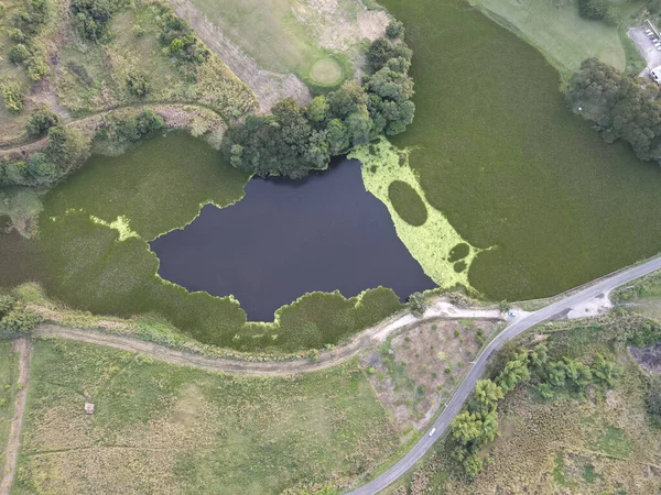 Воздушный Пейзаж Зеленых Полей Озера Зеленых Деревьев Дорог Дневном Свете — стоковое фото