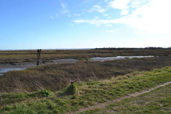 Ένα Κοντινό Πλάνο Του Leigh Marshes Στο Ηνωμένο Βασίλειο — Φωτογραφία Αρχείου