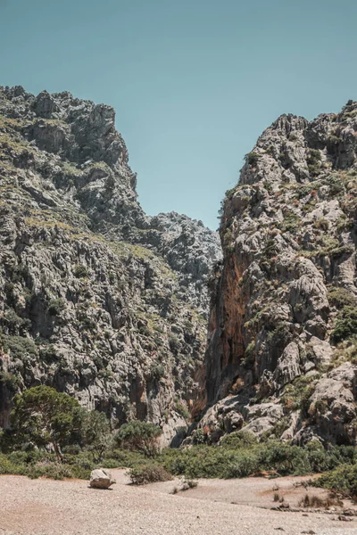 Güneşli Bir Günde Kayalık Bir Dağın Olduğu Güzel Bir Tarla — Stok fotoğraf