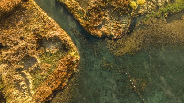 Une Vue Aérienne Une Zone Humide Avec Eau Verte Des — Photo