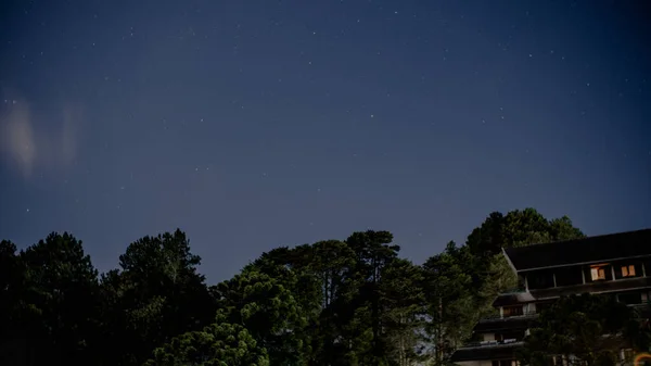 Starry Night Sky Trees — Stock Photo, Image