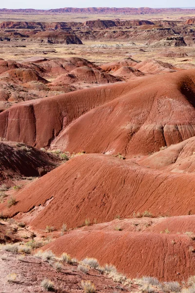 Сухой Ландшафт Красных Скал Пустыне Солнечным Светом — стоковое фото