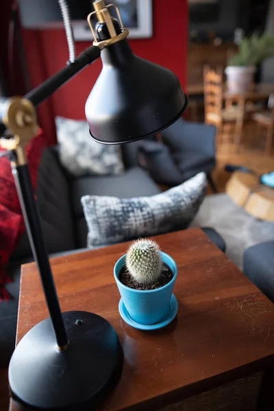 Indoor plants brighten an indoor space