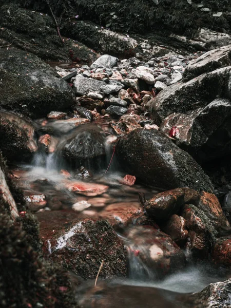 Krásný Výhled Krajinu Malého Potoka Tekoucího Skalách Lese Během Dne — Stock fotografie