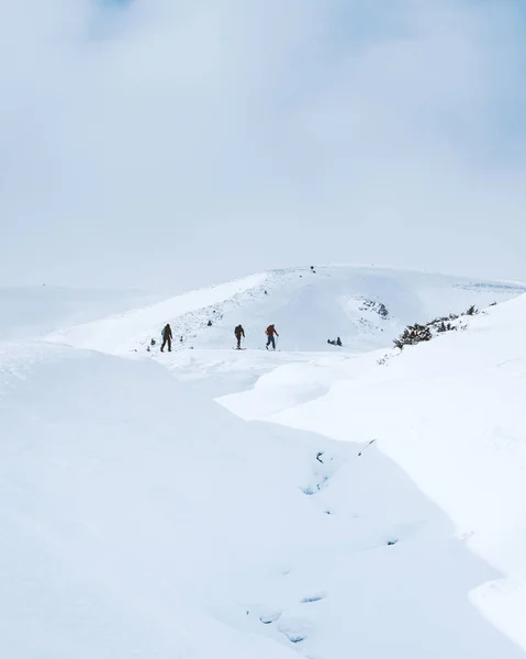 雪に覆われた山の中をハイキングする人々のグループ — ストック写真