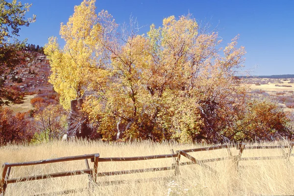 Paesaggio Terreni Agricoli Autunno — Foto Stock