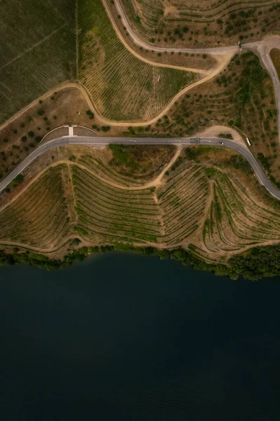 Vista Aérea Los Viñedos Terrazas Valle Del Duero Portugal — Foto de Stock