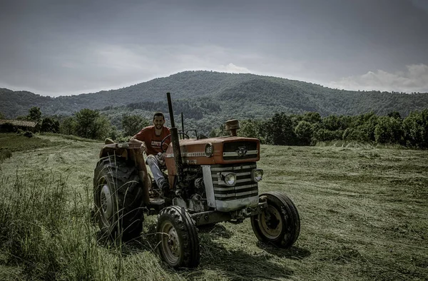 Massey Ferguson 165 Ebro Red Old Strong Tractor Field — Stock Photo, Image