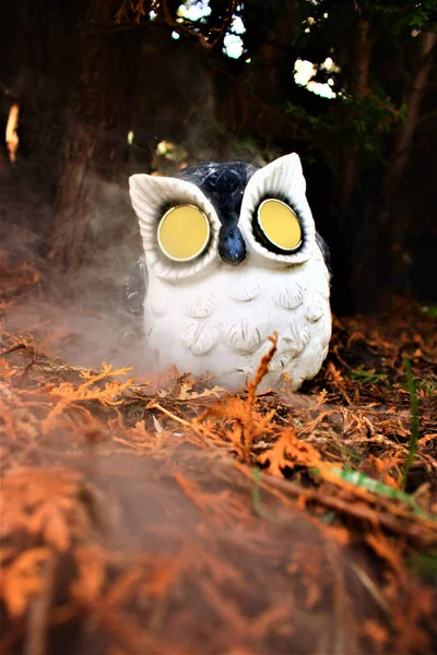 Selective Focus Shot Ceramic Owl Grass — Stock Photo, Image