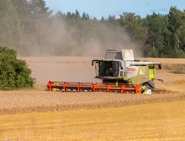 Eine Schöne Aufnahme Einer Erntemaschine Während Einer Staubigen Ernte Schweden — Stockfoto