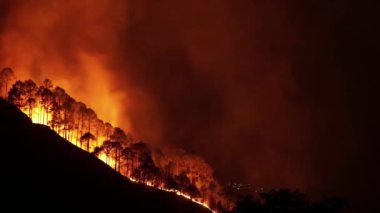 Kalimantan Timur, Endonezya 'daki orman yangınının gece manzarası